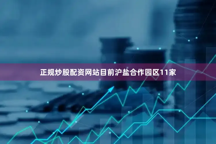 正规炒股配资网站目前沪盐合作园区11家