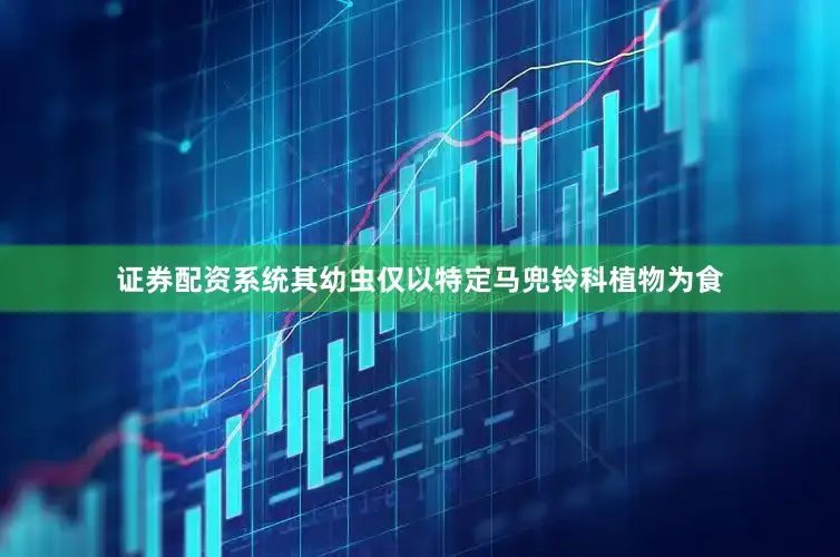 证券配资系统其幼虫仅以特定马兜铃科植物为食