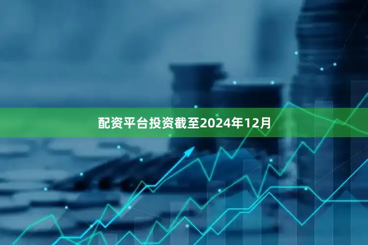 配资平台投资截至2024年12月
