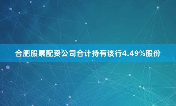 合肥股票配资公司合计持有该行4.49%股份