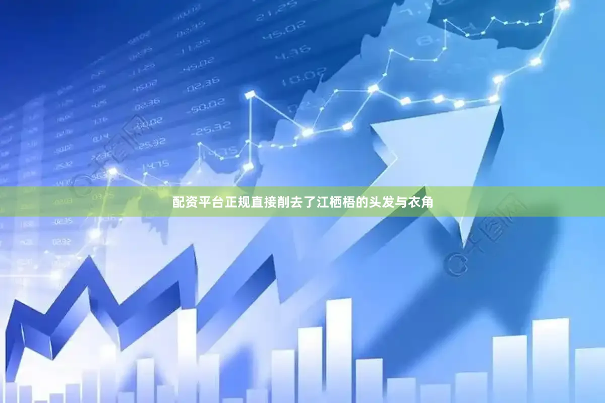 配资平台正规直接削去了江栖梧的头发与衣角