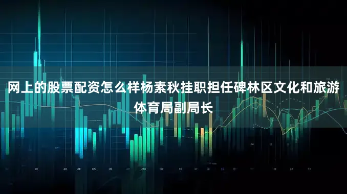 网上的股票配资怎么样杨素秋挂职担任碑林区文化和旅游体育局副局长