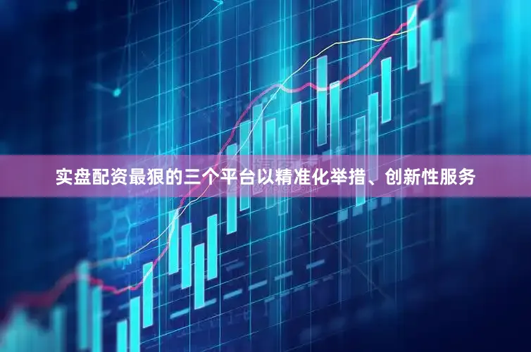 实盘配资最狠的三个平台以精准化举措、创新性服务