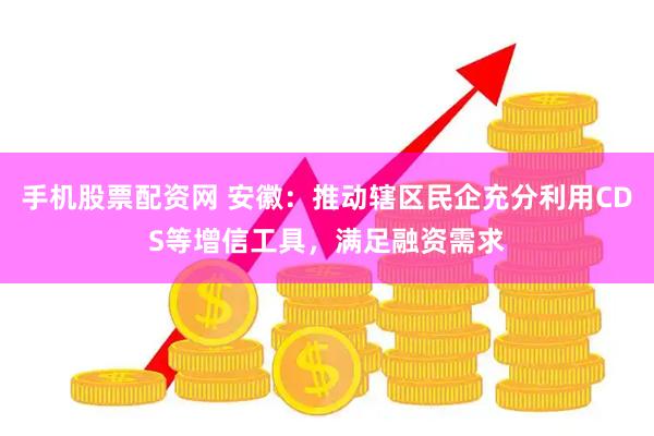 手机股票配资网 安徽：推动辖区民企充分利用CDS等增信工具，满足融资需求
