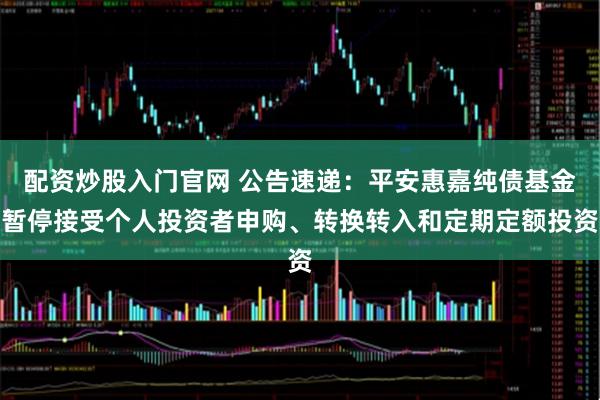 配资炒股入门官网 公告速递：平安惠嘉纯债基金暂停接受个人投资者申购、转换转入和定期定额投资